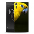 Дизайнерский пластиковый чехол для Sony Xperia XZs Попугаи