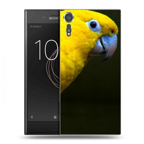 Дизайнерский пластиковый чехол для Sony Xperia XZs Попугаи