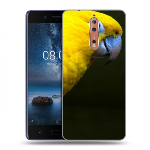 Дизайнерский пластиковый чехол для Nokia 8 Попугаи