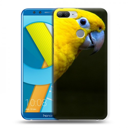 Дизайнерский пластиковый чехол для Huawei Honor 9 Lite Попугаи