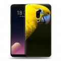 Дизайнерский пластиковый чехол для Meizu 15 Plus Попугаи