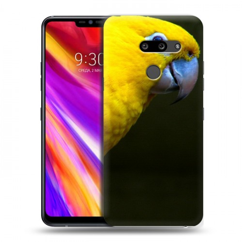 Дизайнерский пластиковый чехол для LG G8 ThinQ Попугаи