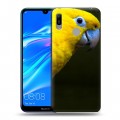 Дизайнерский пластиковый чехол для Huawei Y6 (2019) Попугаи