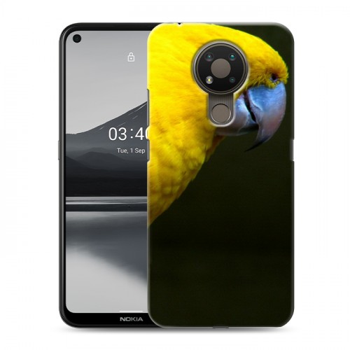 Дизайнерский силиконовый чехол для Nokia 3.4 Попугаи