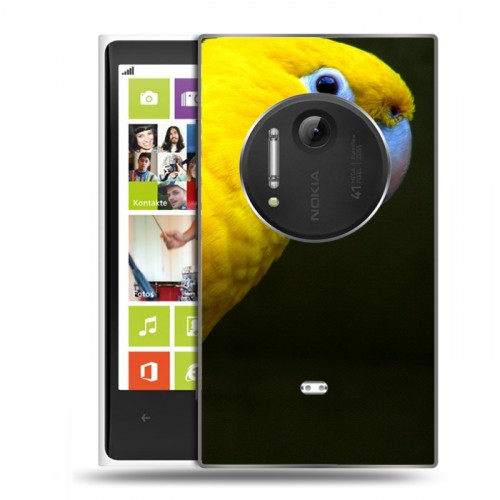 Дизайнерский пластиковый чехол для Nokia Lumia 1020 Попугаи