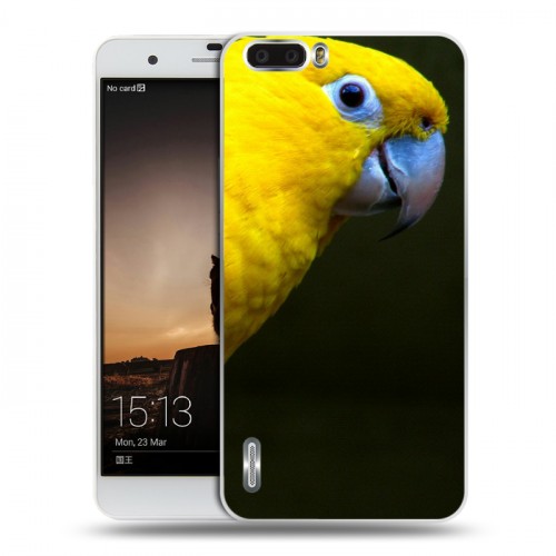 Дизайнерский силиконовый чехол для Huawei Honor 6 Plus Попугаи
