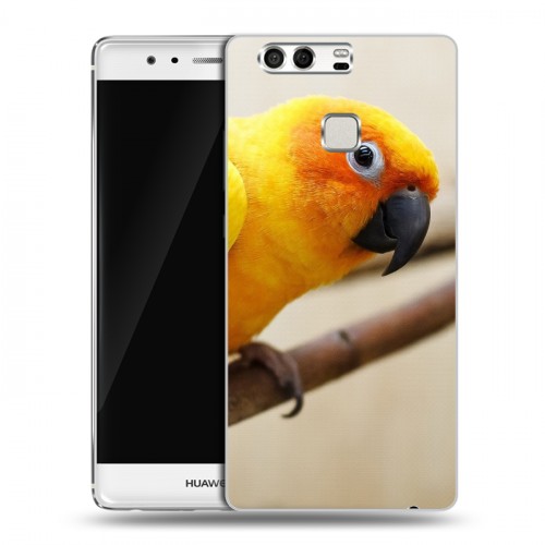 Дизайнерский силиконовый чехол для Huawei P9 Попугаи