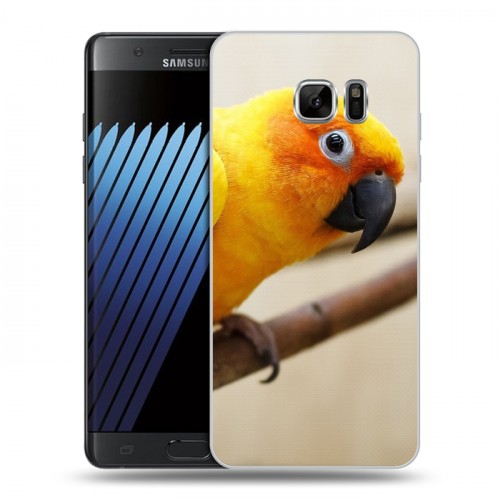 Дизайнерский пластиковый чехол для Samsung Galaxy Note 7 Попугаи