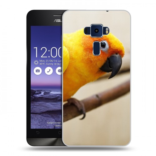 Дизайнерский пластиковый чехол для Asus ZenFone 3 5.2 Попугаи