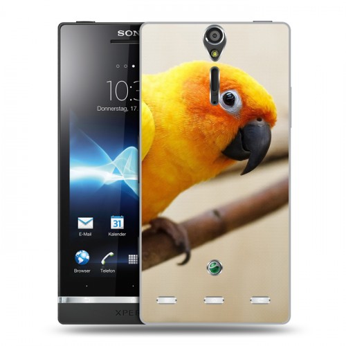 Дизайнерский пластиковый чехол для Sony Xperia S Попугаи