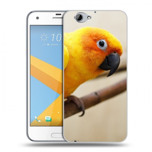 Дизайнерский силиконовый чехол для HTC One A9S Попугаи