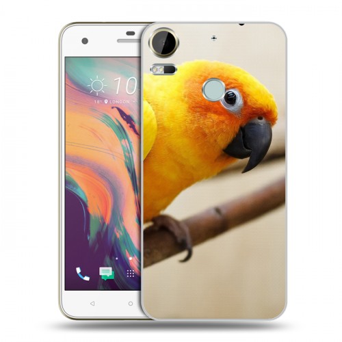 Дизайнерский силиконовый чехол для HTC Desire 10 Pro Попугаи