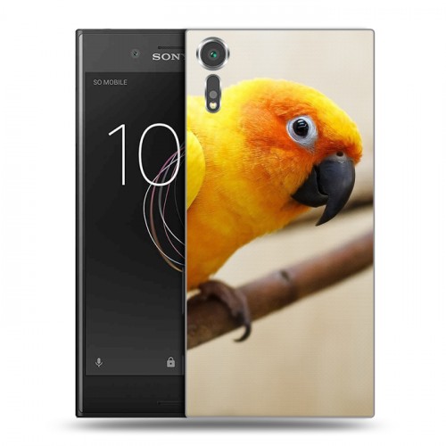 Дизайнерский пластиковый чехол для Sony Xperia XZs Попугаи