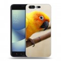 Дизайнерский силиконовый чехол для ASUS ZenFone 4 Pro Попугаи