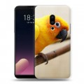 Дизайнерский пластиковый чехол для Meizu 15 Plus Попугаи