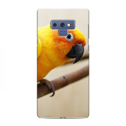 Дизайнерский силиконовый с усиленными углами чехол для Samsung Galaxy Note 9 Попугаи