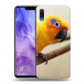 Дизайнерский пластиковый чехол для Huawei Nova 3i Попугаи