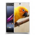 Дизайнерский пластиковый чехол для Sony Xperia Z Ultra  Попугаи