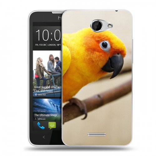 Дизайнерский пластиковый чехол для HTC Desire 516 Попугаи