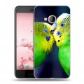 Дизайнерский пластиковый чехол для HTC U Play Попугаи