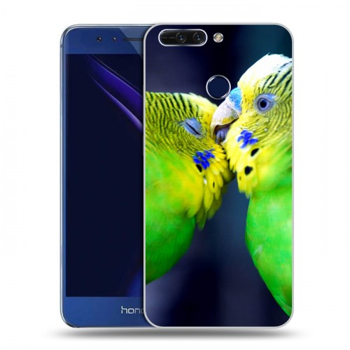 Дизайнерский пластиковый чехол для Huawei Honor 8 Pro Попугаи