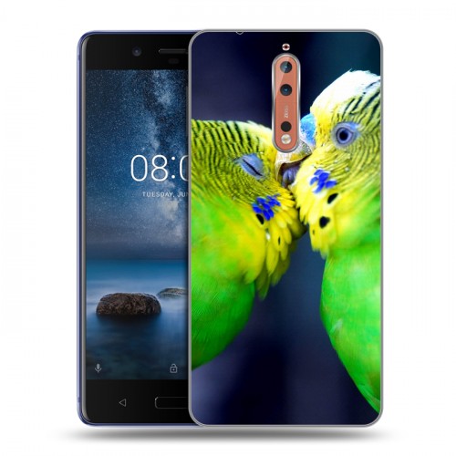 Дизайнерский пластиковый чехол для Nokia 8 Попугаи