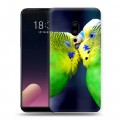 Дизайнерский пластиковый чехол для Meizu 15 Plus Попугаи