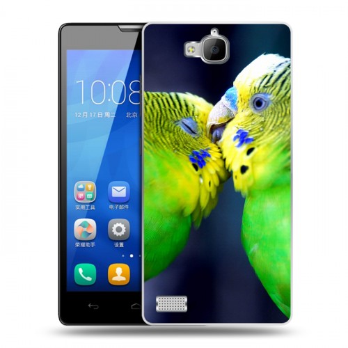 Дизайнерский пластиковый чехол для Huawei Honor 3c Попугаи