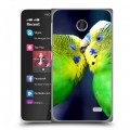 Дизайнерский пластиковый чехол для Nokia X Попугаи