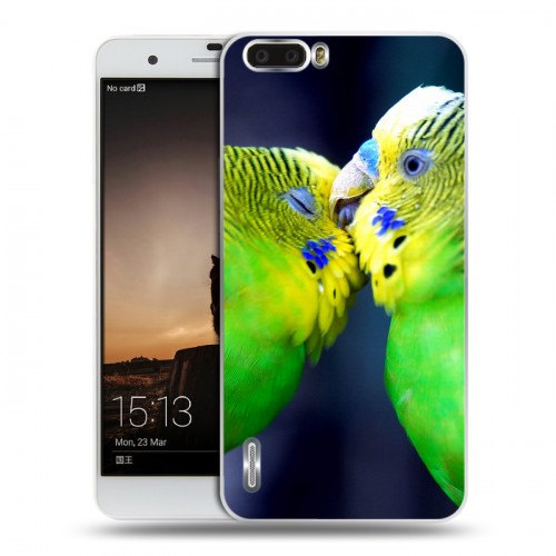 Дизайнерский пластиковый чехол для Huawei Honor 6 Plus Попугаи