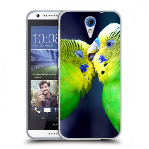 Дизайнерский пластиковый чехол для HTC Desire 620 Попугаи