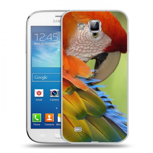 Дизайнерский пластиковый чехол для Samsung Galaxy Premier Попугаи