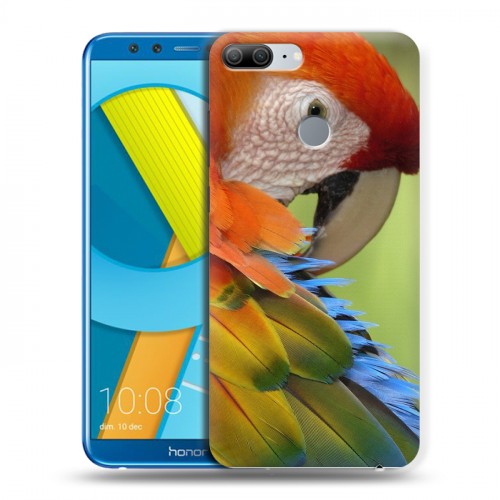 Дизайнерский пластиковый чехол для Huawei Honor 9 Lite Попугаи