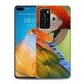 Дизайнерский силиконовый с усиленными углами чехол для Huawei P40 Попугаи