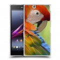 Дизайнерский пластиковый чехол для Sony Xperia Z Ultra  Попугаи