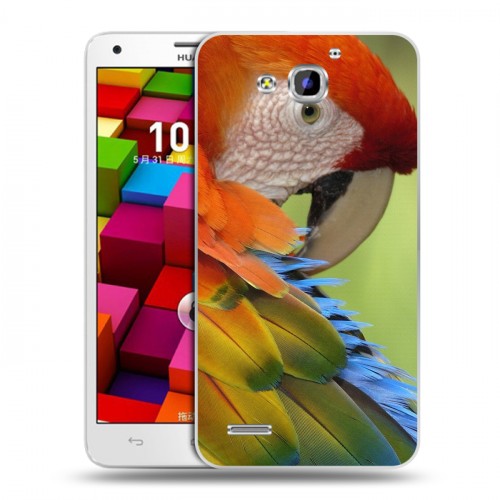 Дизайнерский пластиковый чехол для Huawei Honor 3x Попугаи