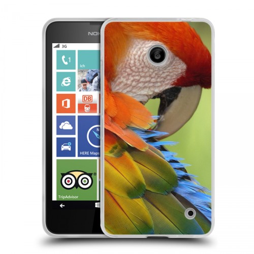 Дизайнерский пластиковый чехол для Nokia Lumia 630/635 Попугаи