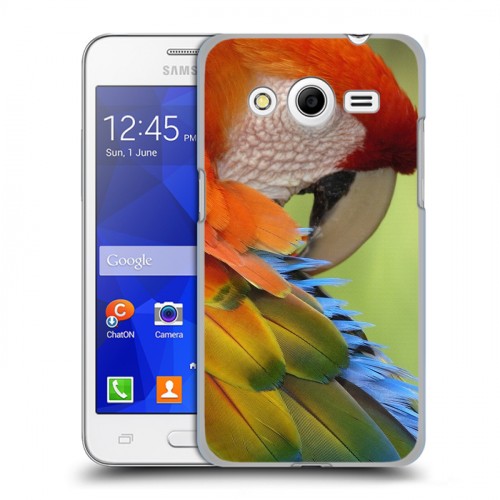 Дизайнерский пластиковый чехол для Samsung Galaxy Core 2 Попугаи