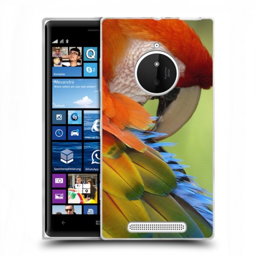 Дизайнерский пластиковый чехол для Nokia Lumia 830 Попугаи