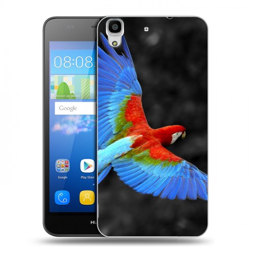 Дизайнерский пластиковый чехол для Huawei Y6 Попугаи