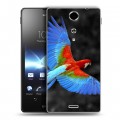 Дизайнерский пластиковый чехол для Sony Xperia TX Попугаи