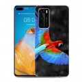 Дизайнерский силиконовый с усиленными углами чехол для Huawei P40 Попугаи