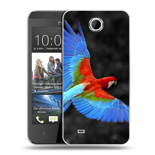 Дизайнерский пластиковый чехол для HTC Desire 300 Попугаи