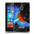 Дизайнерский пластиковый чехол для Microsoft Lumia 435 Попугаи