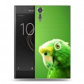 Дизайнерский пластиковый чехол для Sony Xperia XZs Попугаи