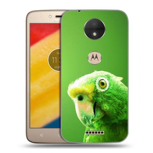 Дизайнерский пластиковый чехол для Motorola Moto C Попугаи