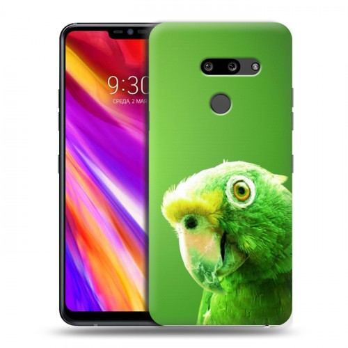 Дизайнерский пластиковый чехол для LG G8 ThinQ Попугаи