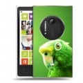 Дизайнерский пластиковый чехол для Nokia Lumia 1020 Попугаи