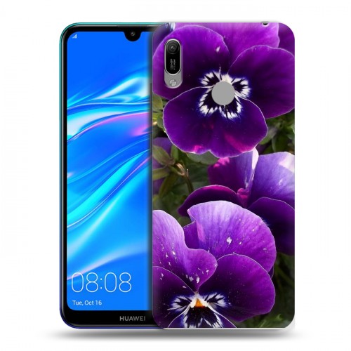 Дизайнерский пластиковый чехол для Huawei Y6 (2019) Анютины глазки