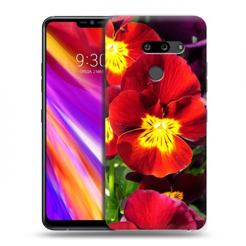 Дизайнерский пластиковый чехол для LG G8 ThinQ Анютины глазки